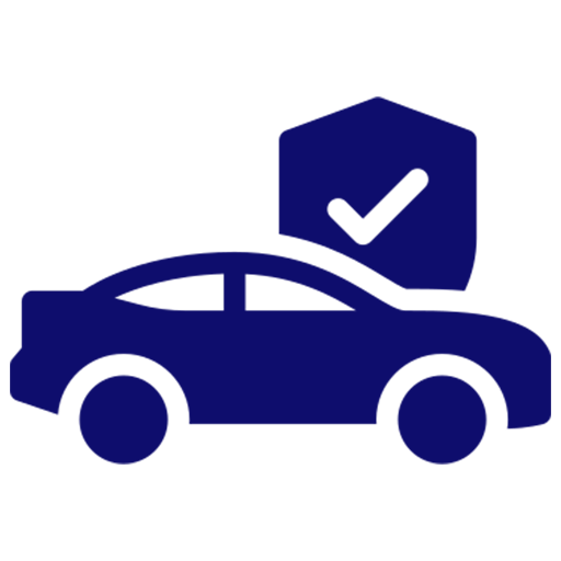 Multiple Insurance Options
